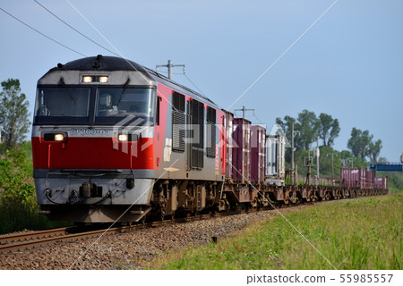 室蘭主線上的DF200-63集裝箱貨運列車 55985557