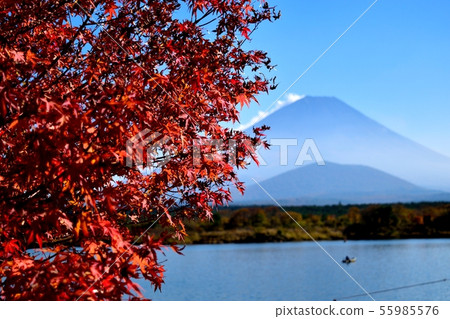 日本的秋天 日本的秋天 55985576