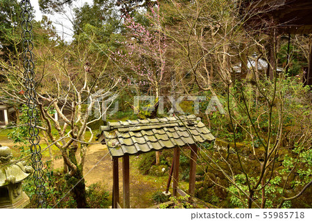 Ishibaji Ishibaji 55985718