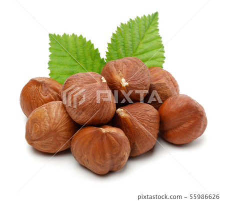 Hazelnuts and leaves isolated on white Hazelnuts and leaves isolated on white 55986626