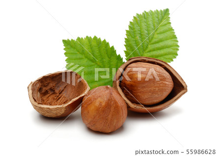 Hazelnuts and leaves isolated on white 55986628