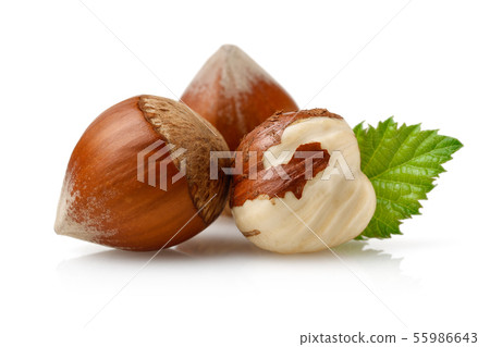 Hazelnuts and leaf isolated on white Hazelnuts and leaf isolated on white 55986643