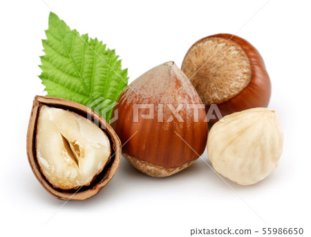 Hazelnuts and leaf isolated on white Hazelnuts and leaf isolated on white 55986650