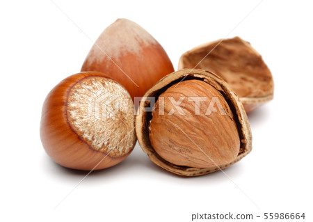 Group of hazelnuts isolated on white Group of hazelnuts isolated on white 55986664