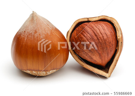 Group of hazelnuts isolated on white Group of hazelnuts isolated on white 55986669