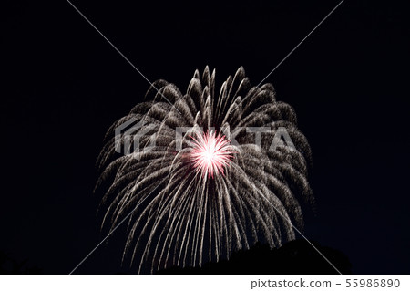 Shimizu Minato Festival海洋菸花節 55986890