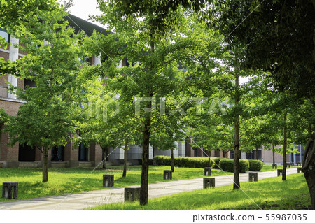 Kochi University of Technology Kami Campus Kami City, Kochi Prefecture 55987035