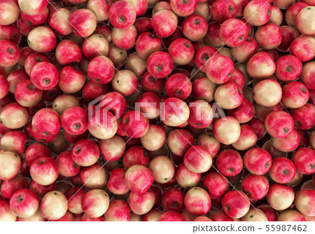 fresh red and yellow apples 3d render 55987462