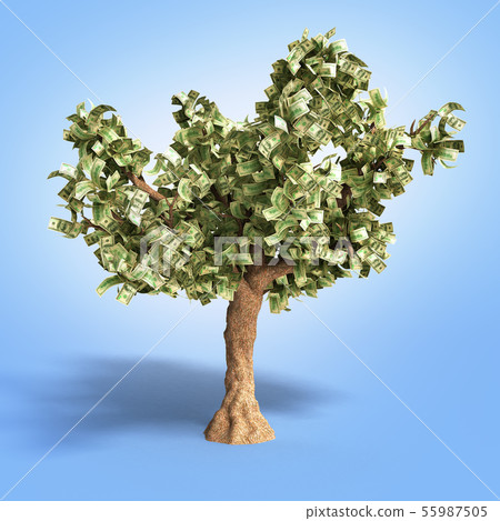 dollar tree with hundred dollar bills on gradient 55987505