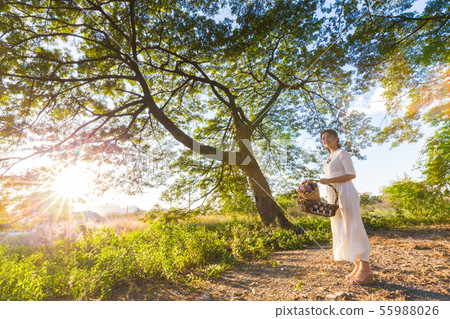 Beautiful fashion women in tree forest sunset Beautiful fashion women in tree forest sunset 55988026