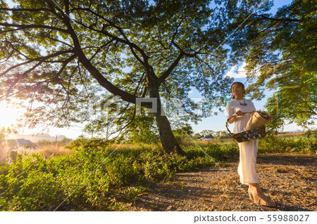 Beautiful fashion women in tree forest sunset 55988027