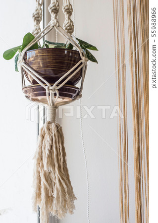 Handmade macrame for flowers in the interior of 55988966