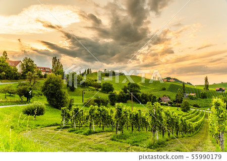 Grape hills and mountains view from wine street in 55990179