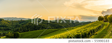 Grape hills and mountains view from wine street in Grape hills and mountains view from wine street in 55990183