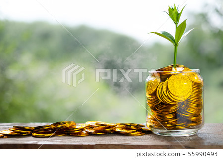 Tree with flowers growing on glass piggy bank from Tree with flowers growing on glass piggy bank from 55990493