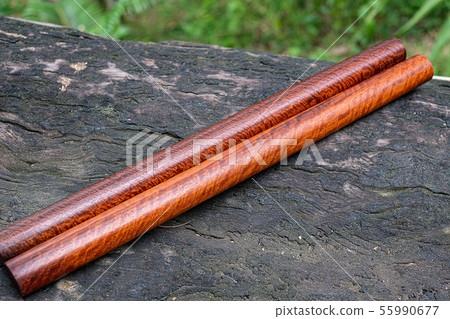 Wood logs round lath of Burma padauk 55990677