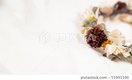 Ping Pong Mum Flower Ping Pong Mum Flower 55991590