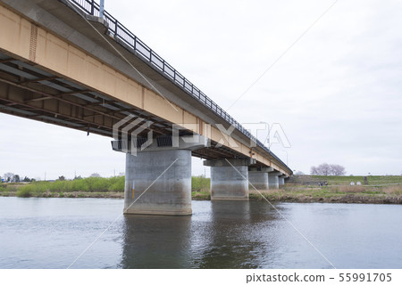 橋,橋,橋墩,混凝土 橋,橋,橋墩,混凝土 55991705