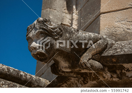 Gargoyle on roof at the Palace of the Popes Gargoyle on roof at the Palace of the Popes 55991742