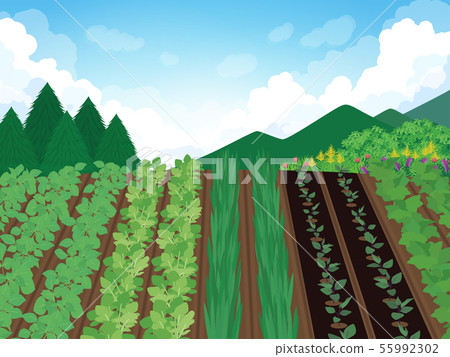 Field and mountain landscape illustration 55992302