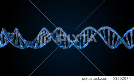 DNA code. Abstract 3d polygonal wireframe DNA. DNA code. Abstract 3d polygonal wireframe DNA. 55992974