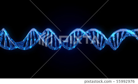 DNA code. Abstract 3d polygonal wireframe DNA. DNA code. Abstract 3d polygonal wireframe DNA. 55992976