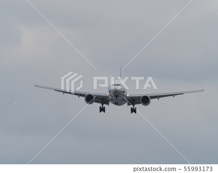 Jetliner landing at Osaka International Airport 55993173