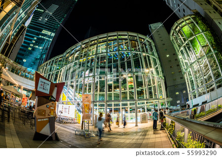 東京夜澀谷小溪(Inaribashi Square) 東京夜澀谷小溪(Inaribashi Square) 55993290