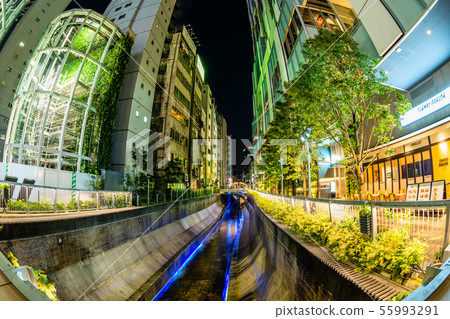 Tokyo Shibuya River at night Tokyo Shibuya River at night 55993291