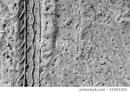 tire track of many vehicle on ground  55993303