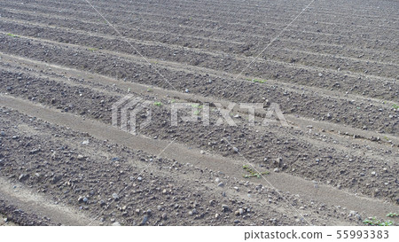 農業形象（田野，黑土） 55993383