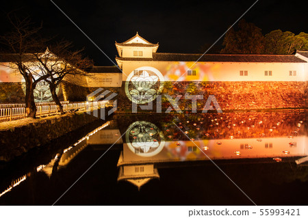 Japan's Top 100 Castle, National Treasure Hikone Castle Illuminated 55993421