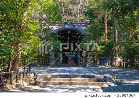 Kamakura Tsurugaoka Hachimangu Shrine 55994064
