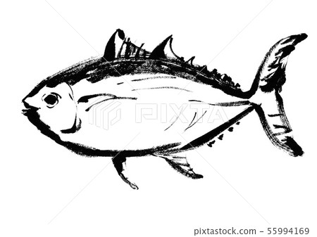 三文魚金槍魚手寫的例證可口金槍魚日本食物削減了刷子手拉的裁減例證刷子圖畫 55994169