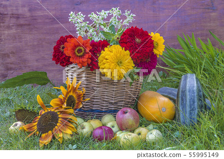 Beautiful summer gardening composition Beautiful summer gardening composition 55995149
