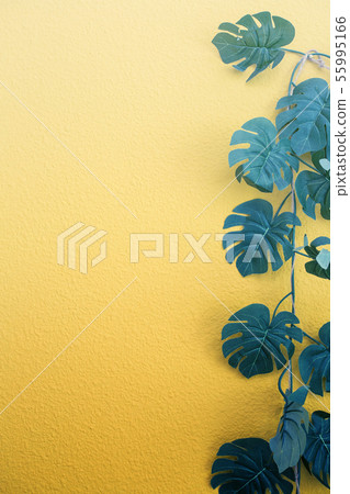 Bright yellow painted wall framed with green tropical palm leaves, sunlight with shadows patterns Bright yellow painted wall framed with green tropical palm leaves, sunlight with shadows patterns 55995166