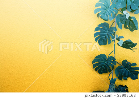 Bright yellow painted wall framed with green tropical palm leaves, sunlight with shadows patterns Bright yellow painted wall framed with green tropical palm leaves, sunlight with shadows patterns 55995168