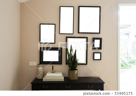 collection of various blank black frames on wall with modern decoration, green plant in a lovely collection of various blank black frames on wall with modern decoration, green plant in a lovely 55995175