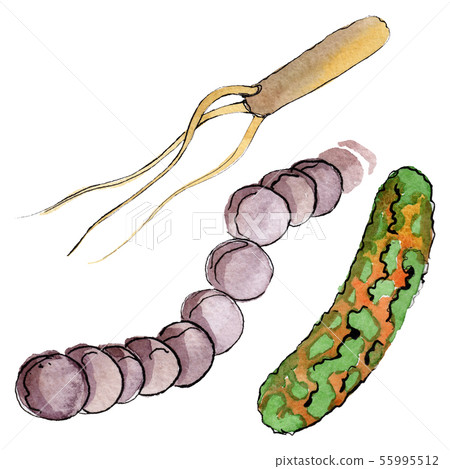 Microbe or germ hand drown illustration. Watercolor background set. Isolated microorganism Microbe or germ hand drown illustration. Watercolor background set. Isolated microorganism 55995512