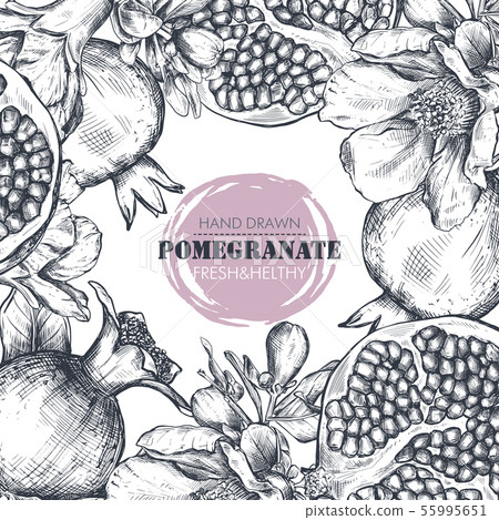 Vector frame of pomegranate fruits, flowers, branches. Vector frame of pomegranate fruits, flowers, branches. 55995651