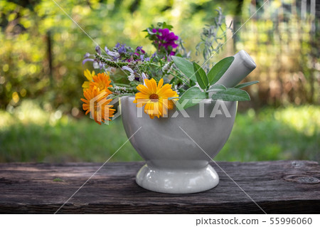 Various medicinal herbs in a mortar, outdoors 55996060