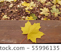 Autumn in the Park, background. Yellow leaf 55996135