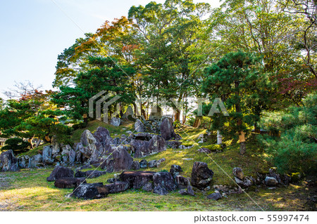 Japan's Top 100 Castle, Autumn National Treasure Hikone Castle, Rakurakuen Japan's Top 100 Castle, Autumn National Treasure Hikone Castle, Rakurakuen 55997474