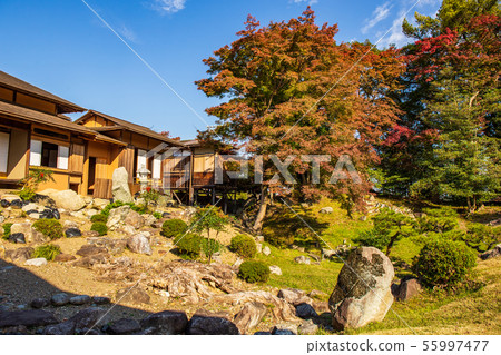 Japan's Top 100 Castle, Autumn National Treasure Hikone Castle, Rakurakuen 55997477