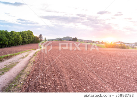Country road in rural agricultural landscape. Red soil fields around Nova Paka, Czech Republic 55998788