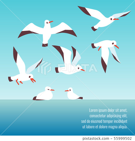 Atlantic seabirds flying background design 55999502