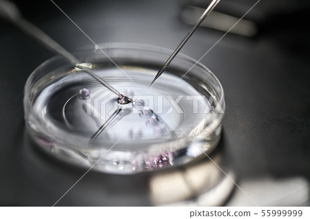 Process of in vitro fertilization in laboratory 55999999
