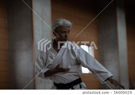 karate, empty hand, male 56000029