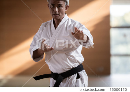 空手道 空的手 男人 56000150