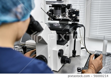 Process of in vitro fertilization in laboratory 56000214